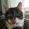 zegy3fk1t6bum28f9vbxnzgz8m