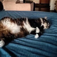 Александра Федорова