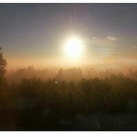 Анирика Мицх