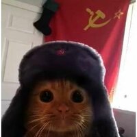 Константин Лянг