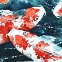 Ксения Кубасова