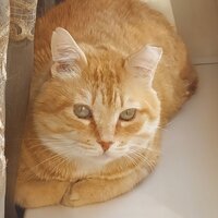 Стася Комлева