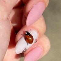 Алена Макарова