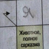 Валк Валкович