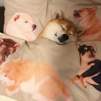 Аделина Вахитова