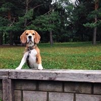 Мария Девичинская