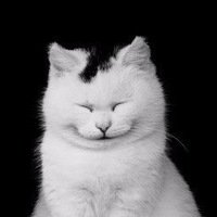 Ириша Шагинова