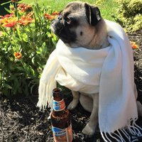 Анна Еремеева