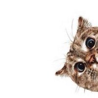 Илья Рязанцев