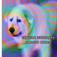 Нина Маликова