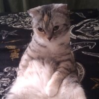 Оксана Савицкая