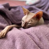 Анастасия ..