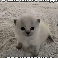 Аверьянова Валерия