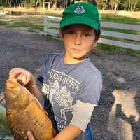 Артемий Золотов