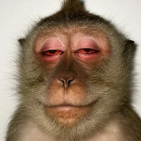 Кора Буслаева