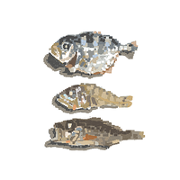 Милана Буткевич