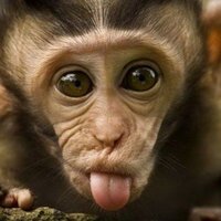 Виктория Шпилевая