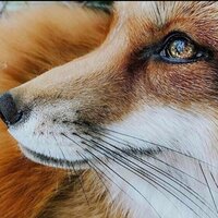 Анастасия М