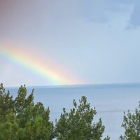 протоиерей Алексей Грищенко