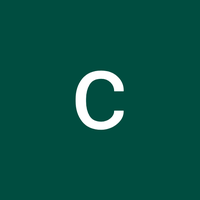 светлана Булычева
