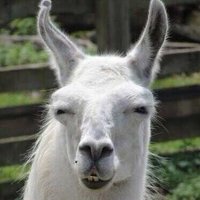 Александра Я