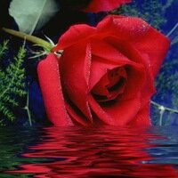 Галина Михайлова