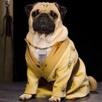 Яна Никитина