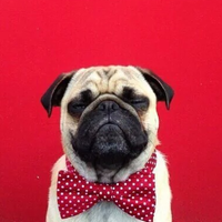 Сергей Макаренко