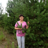 Махсума Башкирова