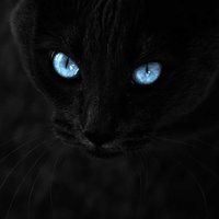 Имя на Яндексе