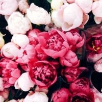 Айгуль Ахметянова