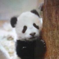 Анастасия Капустина