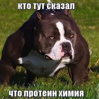 Александр Сазонов