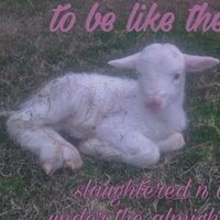 неопознанный объект