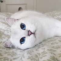 Юлия Салмина