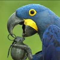 Екатерина Бедаченкова