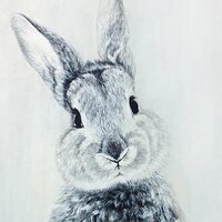 Дарья Карабанова