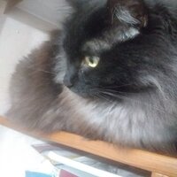 Татьяна Татьянина