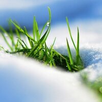 Анна Новикова