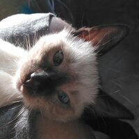 Эрика Федорова