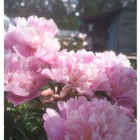 Марина Кучерова