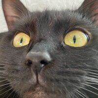 Мария Ноябрьская