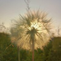 ольга дунаева