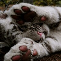 Ольга Владимировна