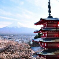 Елена Таранова