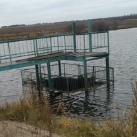 Антон Налимов