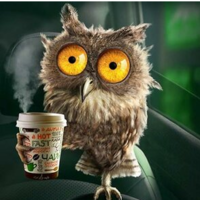 Crazy Owl