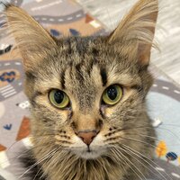 Екатерина Афонина