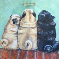 Блондинка из Питера