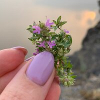 Кедрова Ольга